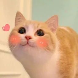 DƬ